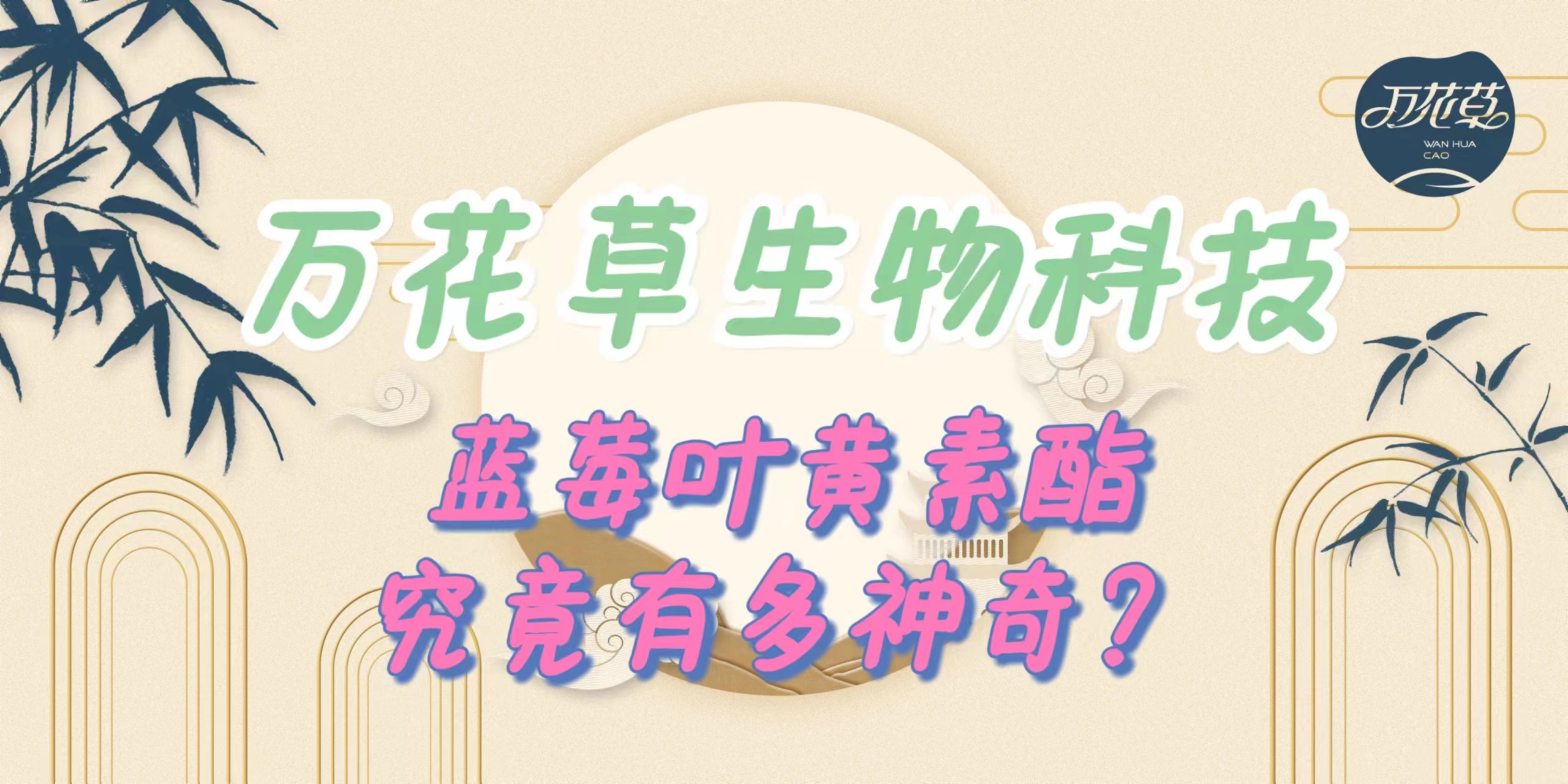 升級(jí)配方，重磅出擊，萬(wàn)花草藍(lán)莓葉黃素酯究竟有多神奇？